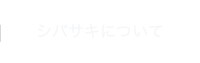 シバサキについて