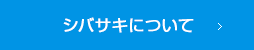 シバサキについて
